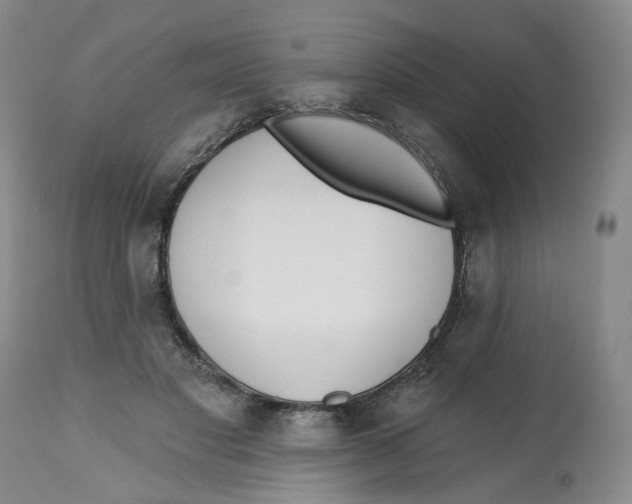 X0000112520501200909141226