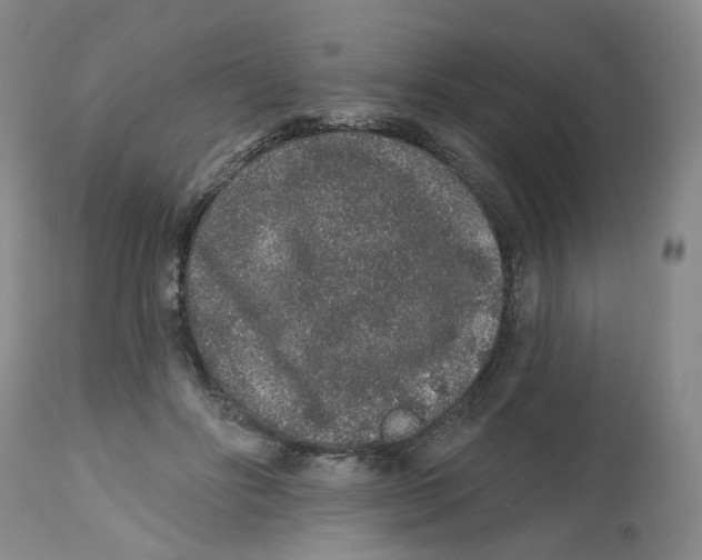 X0000112520502200909141226