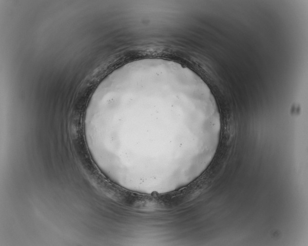 X0000112520503200909141226