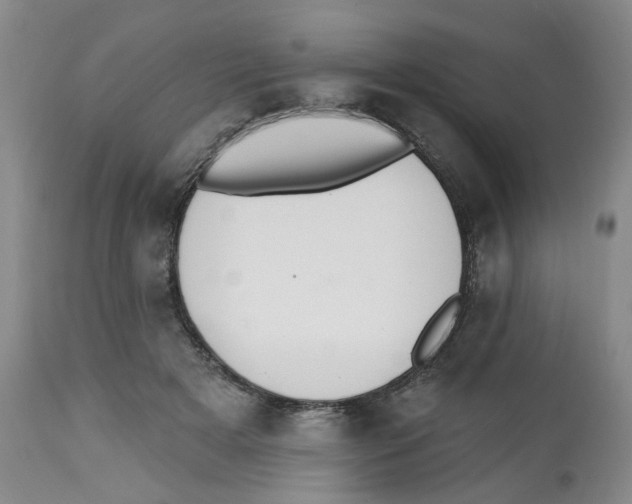 X0000112520505200909141226