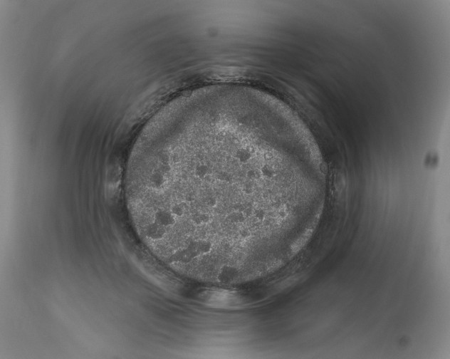 X0000112520507200909141226