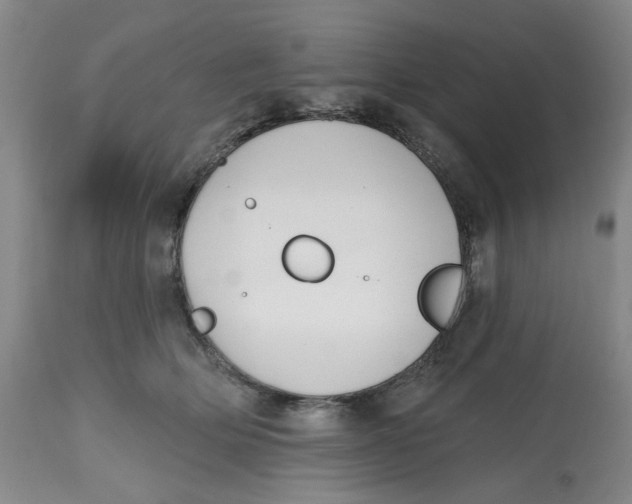 X0000112520514200909141226