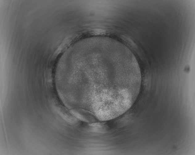 X0000112520516200909141226