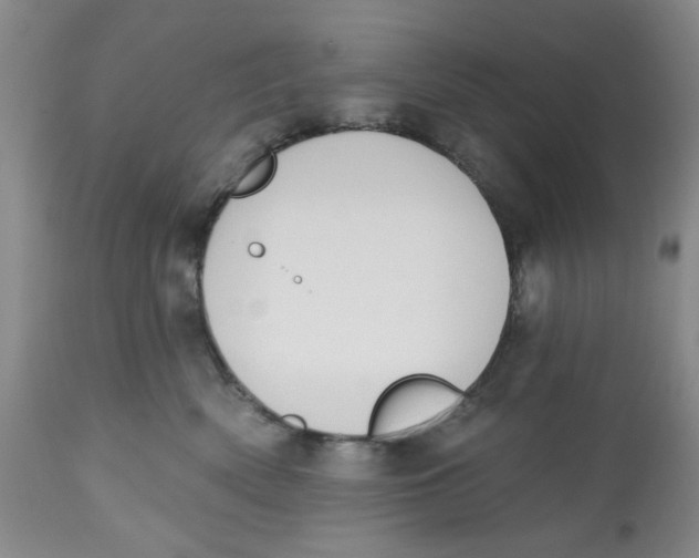 X0000112520522200909141226