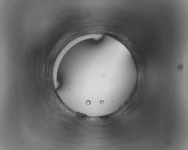 X0000112520525200909141226