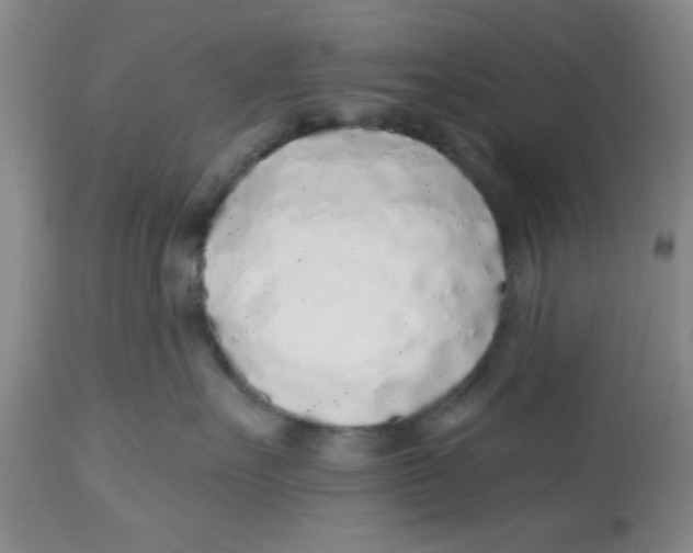 X0000112520527200909141226