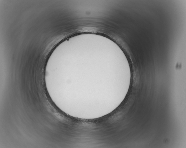 X0000112520529200909141225