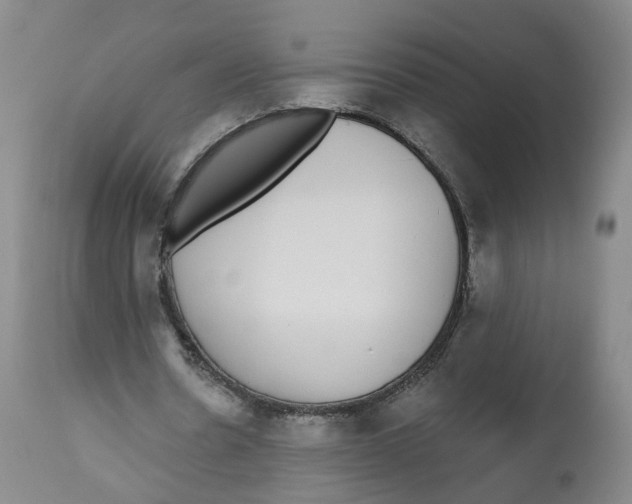 X0000112520530200909141225