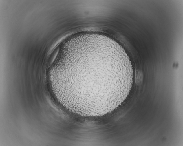 X0000112520531200909141225