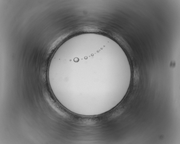 X0000112520533200909141225