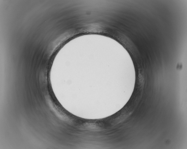 X0000112520534200909141225