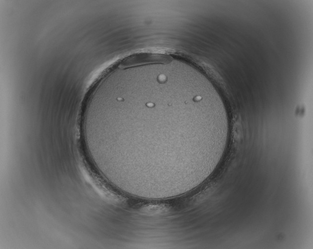 X0000112520536200909141225