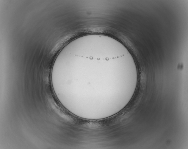 X0000112520537200909141225