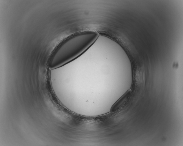 X0000112520540200909141225