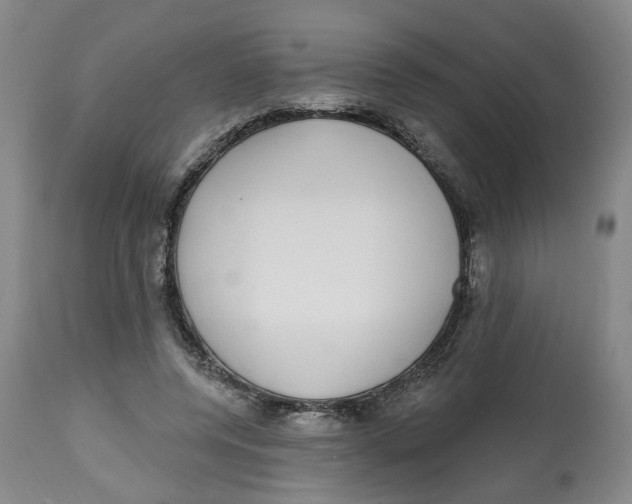 X0000112520544200909141225