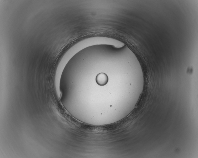 X0000112520546200909141225