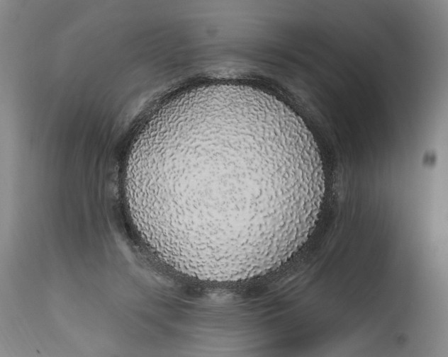 X0000112520547200909141225