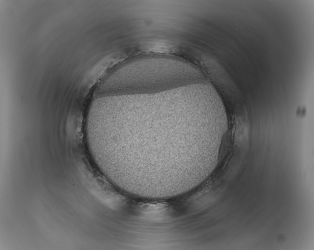 X0000112520548200909141225