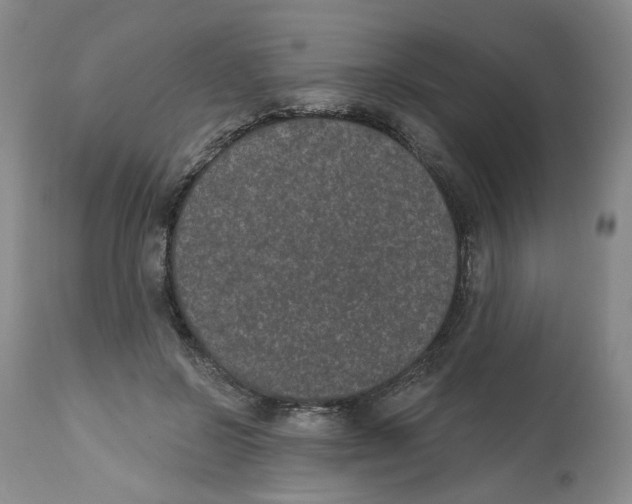 X0000112520550200909141225