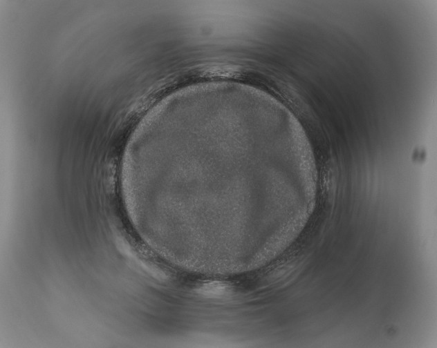 X0000112520551200909141225