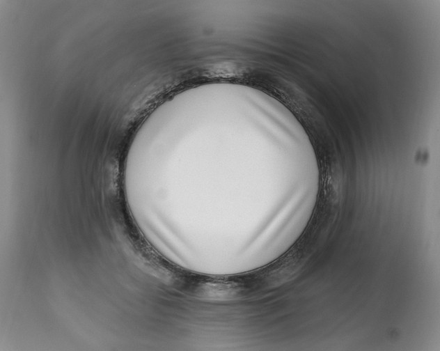 X0000112520556200909141226