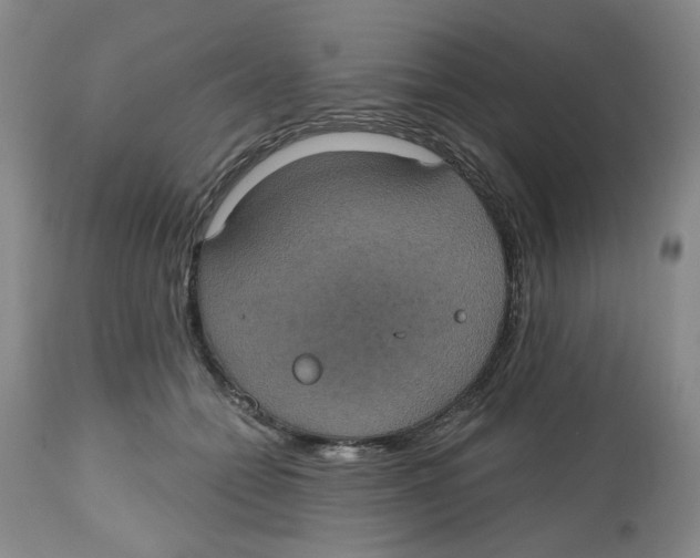 X0000112520558200909141226