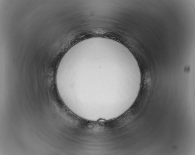 X0000112520559200909141226