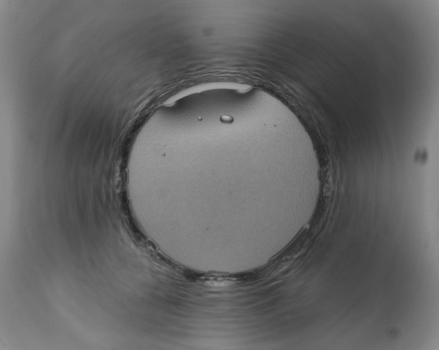 X0000112520560200909141226