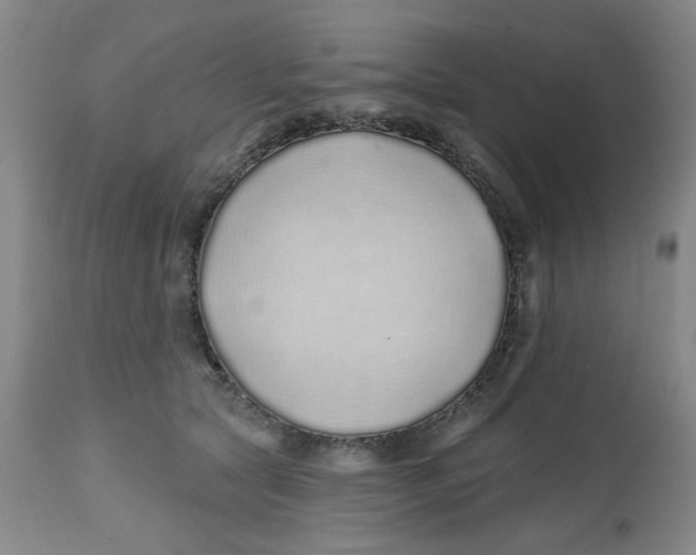 X0000112520561200909141226