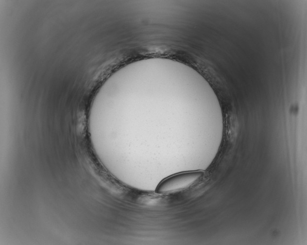 X0000112520563200909141226