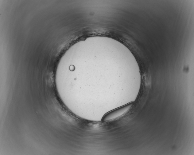 X0000112520564200909141226