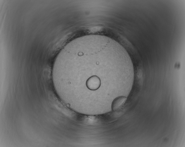 X0000112520565200909141226