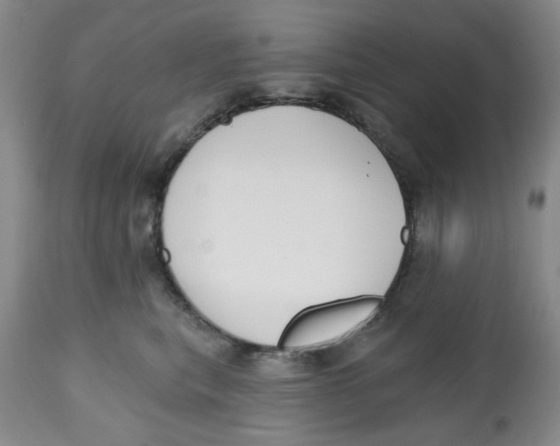 X0000112520567200909141226