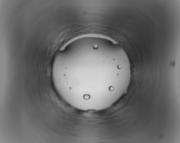 X0000112520568200909141226