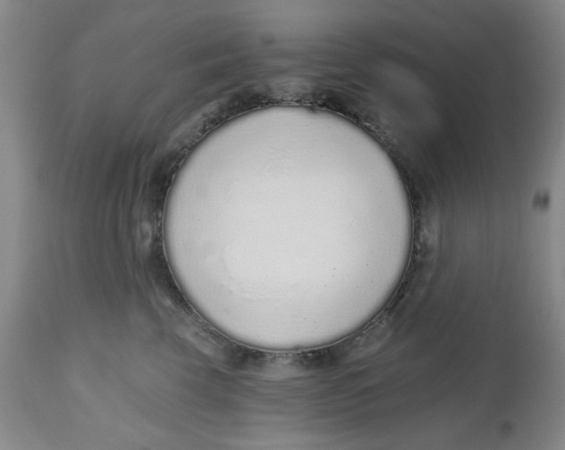 X0000112520569200909141226