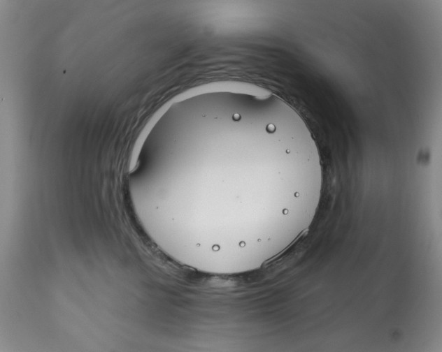 X0000112520570200909141226