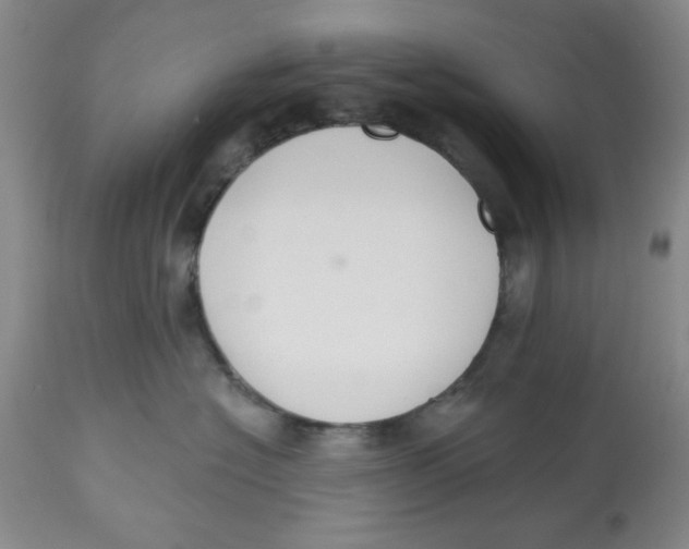 X0000112520574200909141226