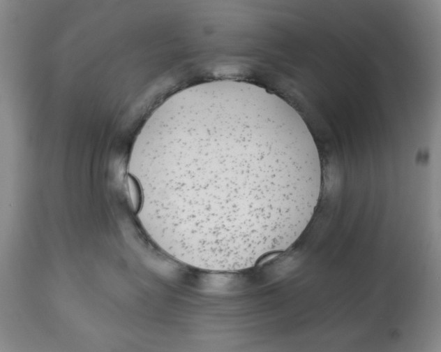 X0000112520575200909141226