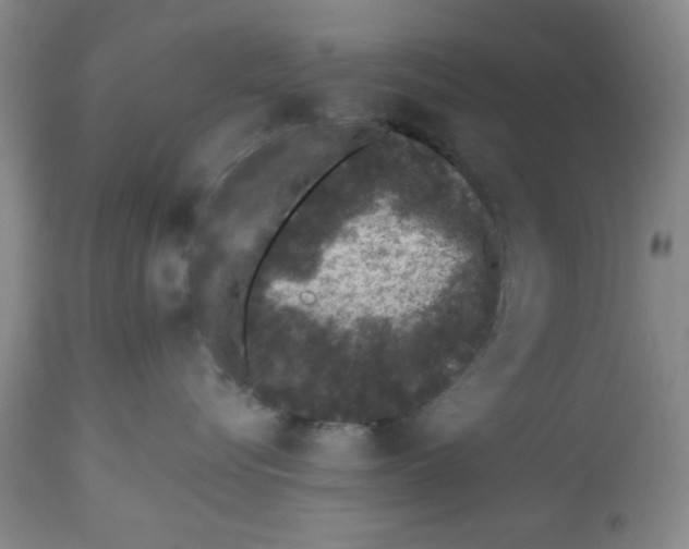 X0000112520576200909141226