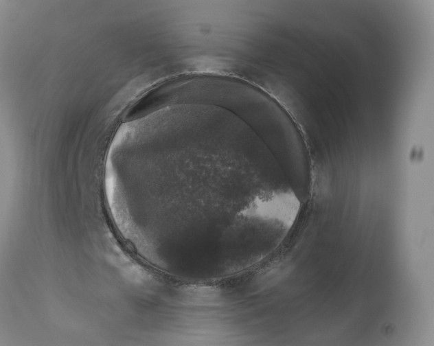 X0000112520577200909141225