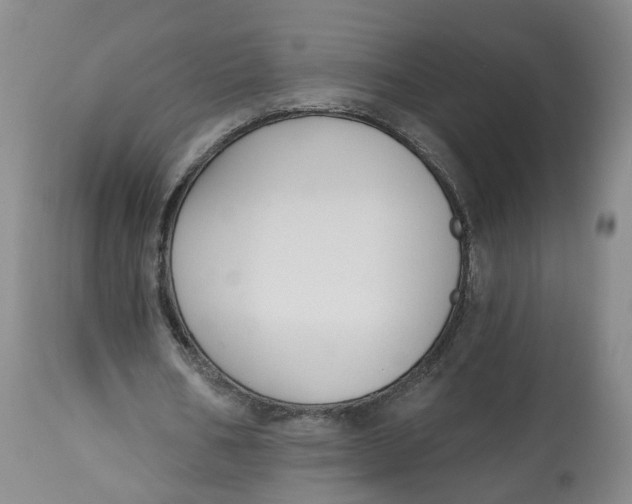 X0000112520578200909141225