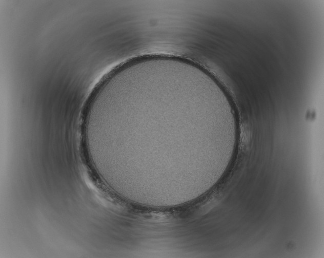 X0000112520580200909141225