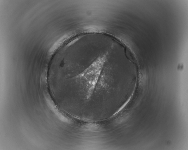 X0000112520581200909141225