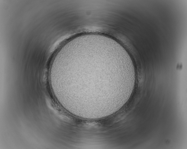 X0000112520583200909141225