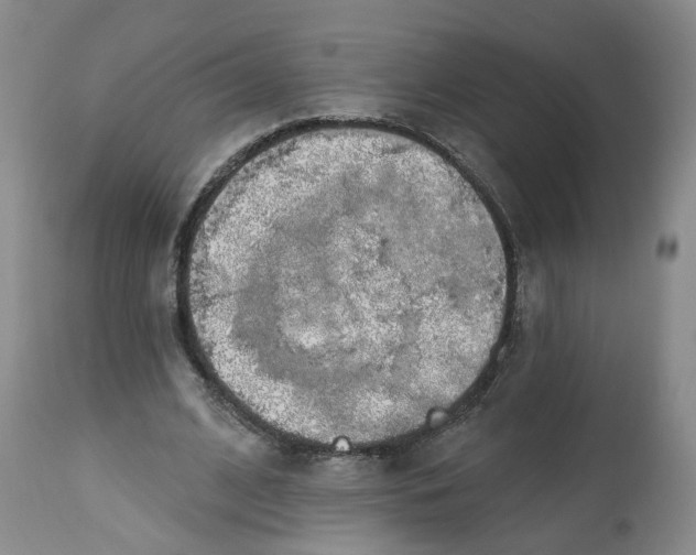 X0000112520584200909141225