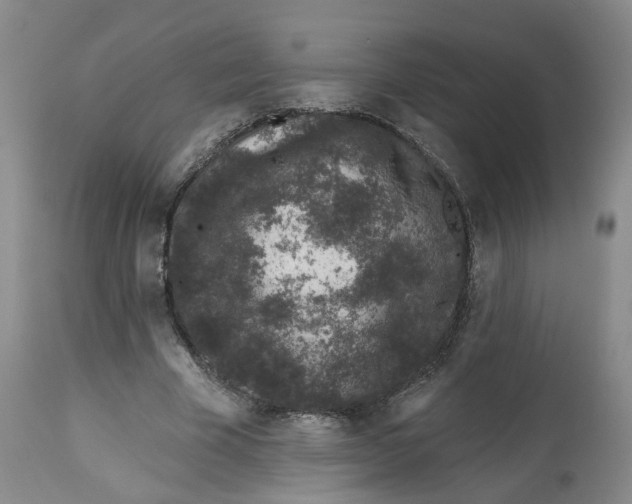 X0000112520585200909141225