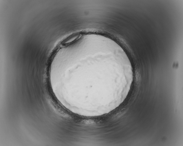 X0000112520588200909141225