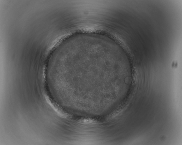 X0000112520590200909141225