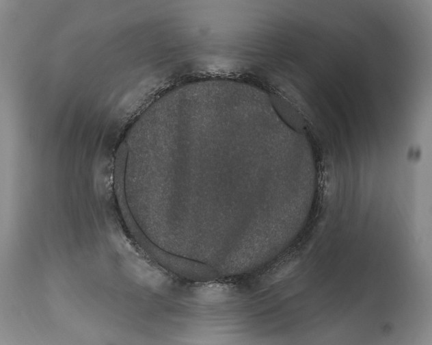 X0000112520593200909141225