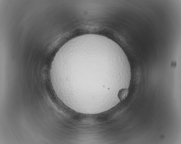 X0000112520594200909141225